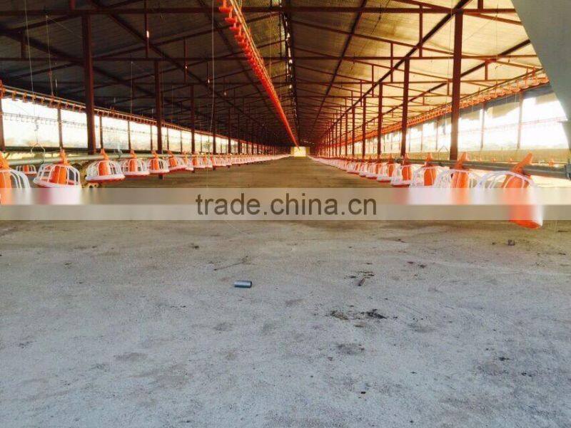 automatic poultry equipment feeder for chicken