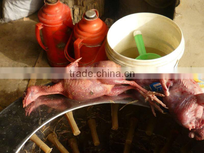 A-shape Adjustable Chicken Plucker Stainless Steel Machine poultry plucke