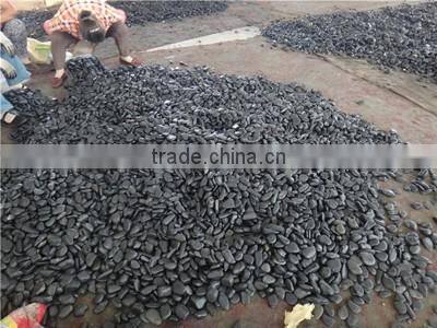 White beach Pebble cobble stone ,pebble granite wholesale