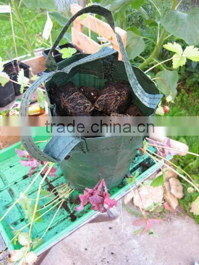 Hanging planting bags,Hanging Flower Pouches,Hanging Plant Bag