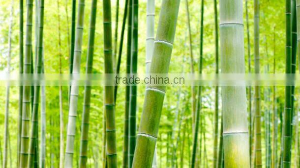 Carbonized Brown Decorative Bamboo Fencing Supplier