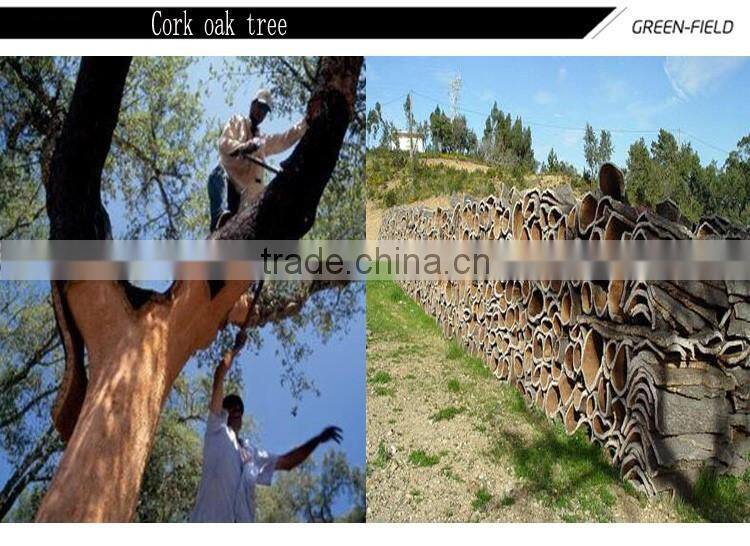 New product cork laptop bag PC bag