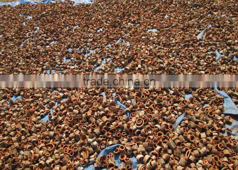 Vietnam cinnamon high quality