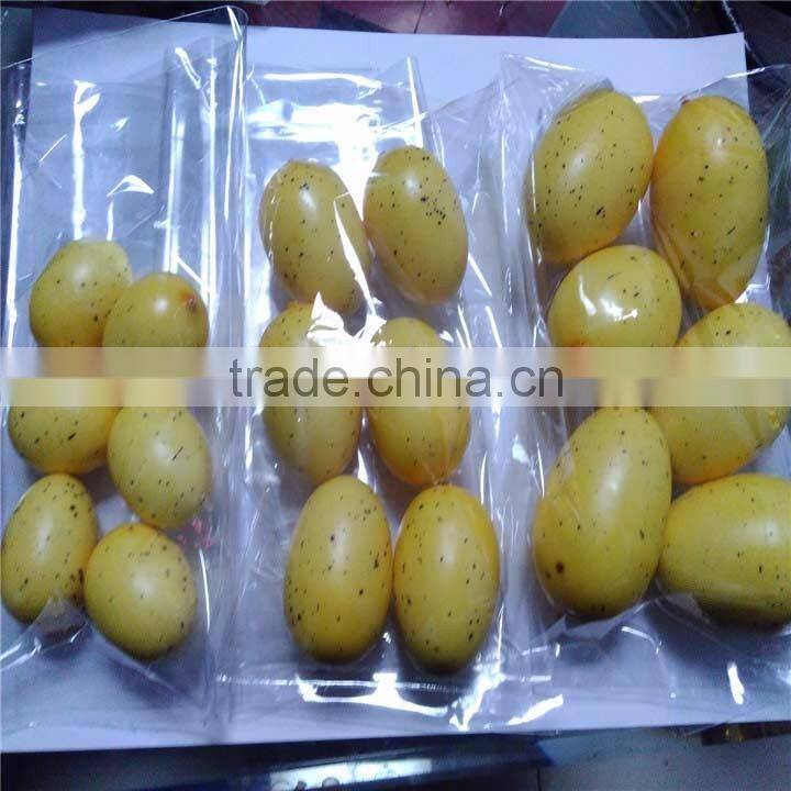 hot products for united states 2016 plastic surprise eggs for interior decoration
