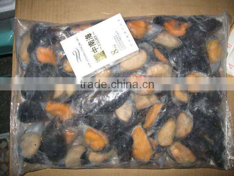 frozen boiled mussel with shell