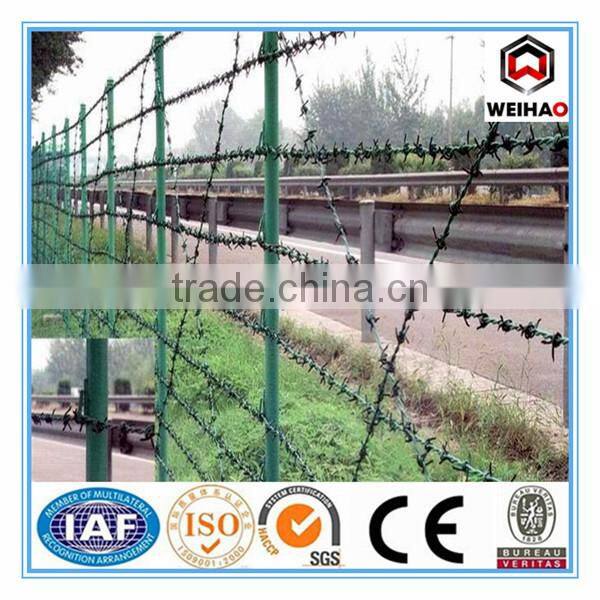 Anping Wei hao provide galvanized barbed wire/PVC barbed wire/barbed wire for sale