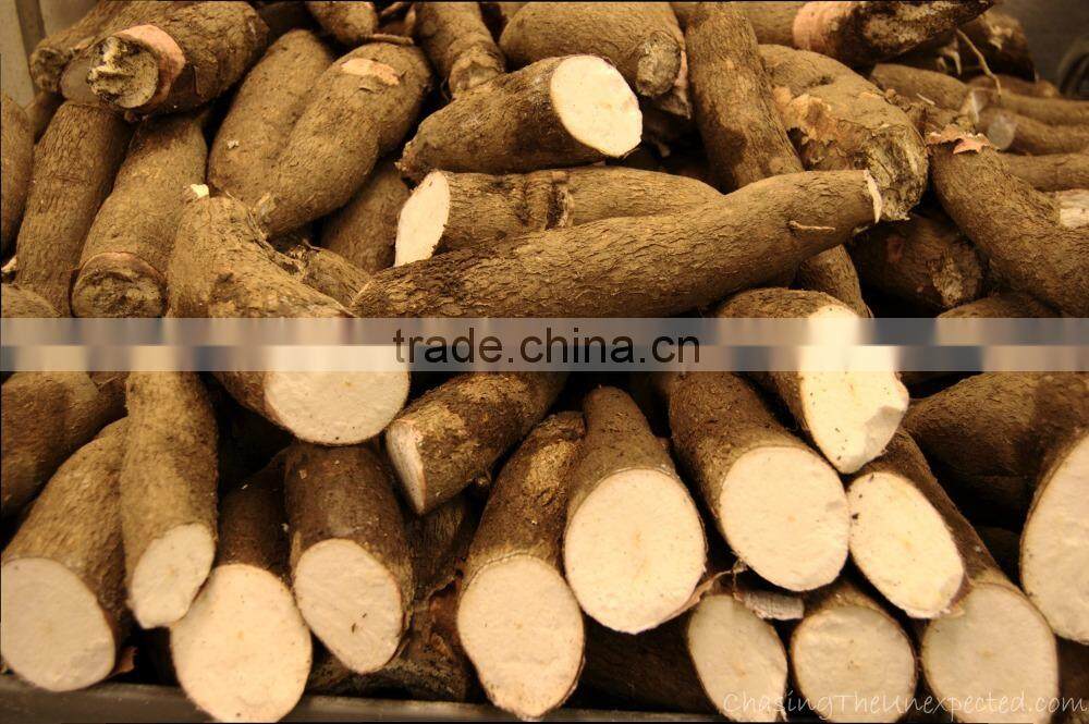 Vietnam Good Price frozen Peeled Cassava/ frozen tapioca
