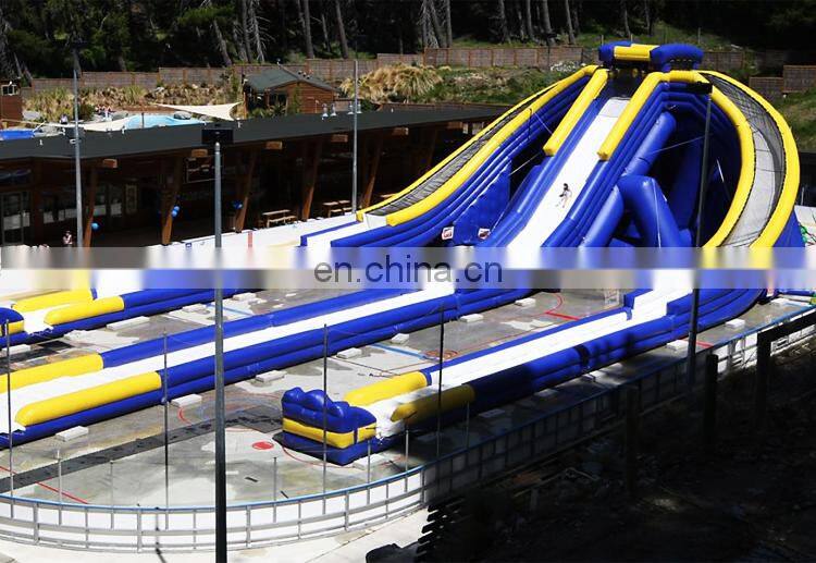 Commercial Grade Adult Inflatable Pool Slide Big Giants Hippo Inflatable Trippo Bounce Water Slip Slide