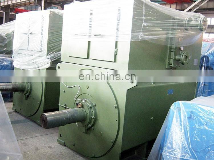 11KV high voltage three phase induction motor