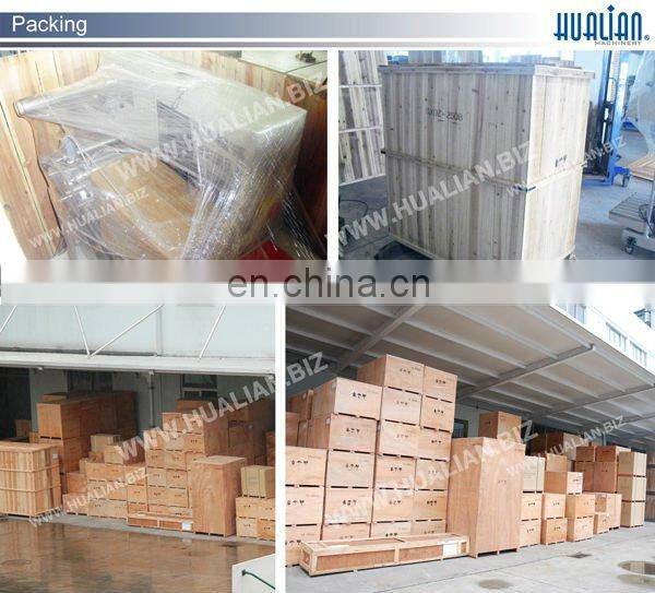 DXDZ-600W Hualian Automatic Pillow Type Packing Machine