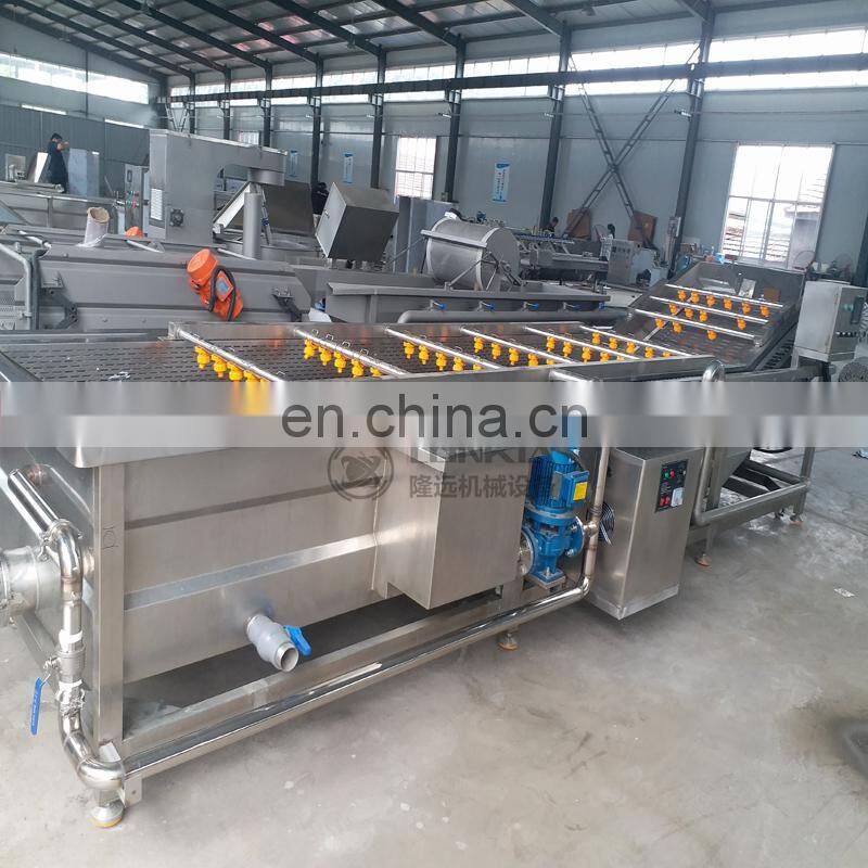 air bubble fruit cleaning machine price