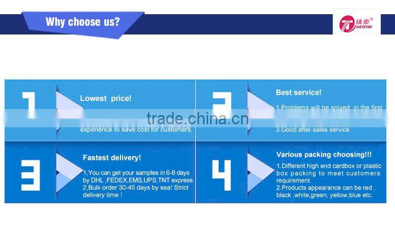 Foldable Hair Dryer Travel 220V Hair Dryer pass CB CE Test