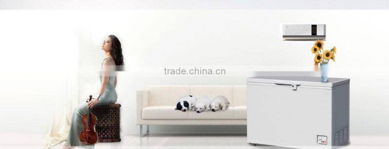 1000L-2200L solid door large capacity chest freezer