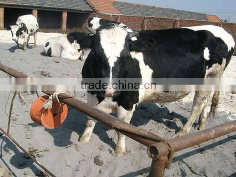 where to buy the high quality mineral salt block machine