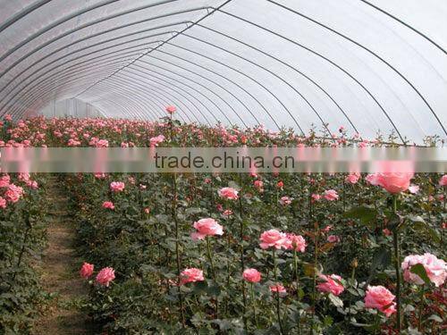 cheap plastic tunnel greenhouse