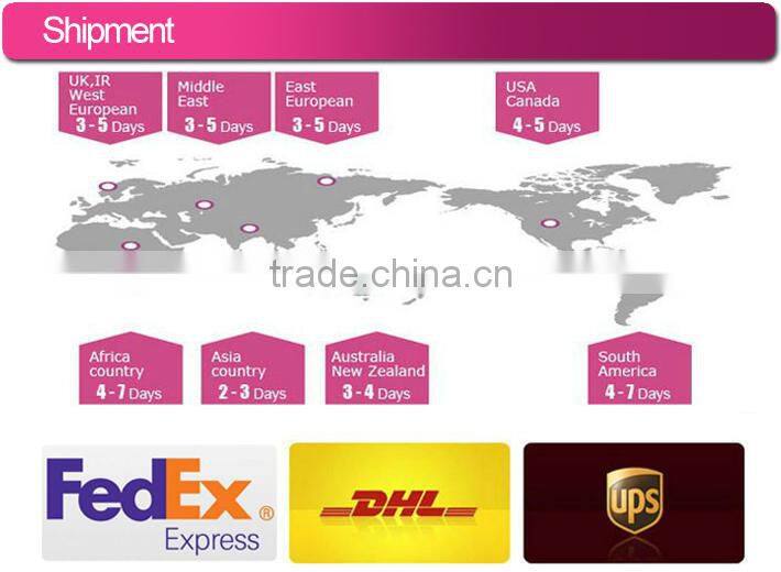 2013 TOP new fashion good quality full lace virgin brazilian human hair wig