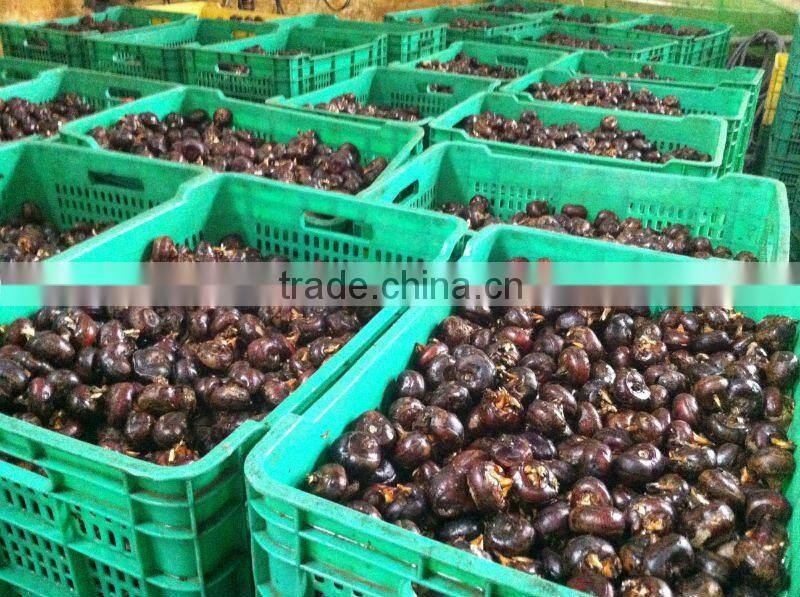 Chinese Water Chestnuts