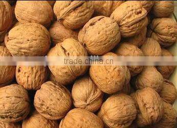 Multi-function automatic soybean oil press machine price