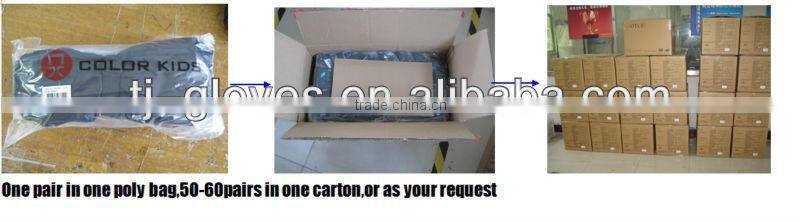 Winter Outdoor Sports Heated Ski Gloves