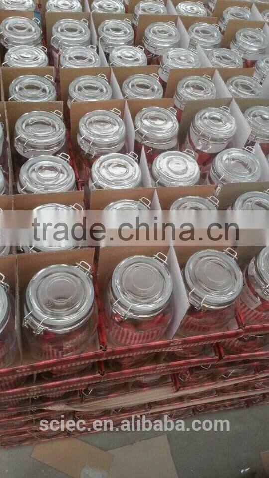 most popular transparent/decorative/spray glass insect trap for supermarket /garden decor