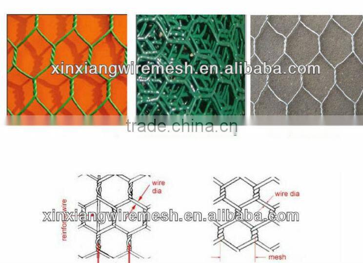 Xinxiang competitive Hexagonal Wire Netting