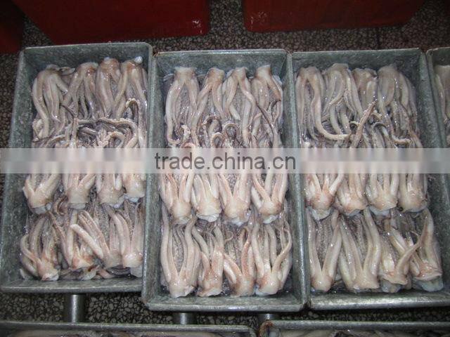 hot sale squid tentacle