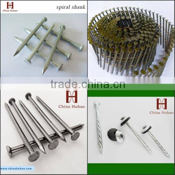 Hot sall manufacture carbon steel concrete nail product