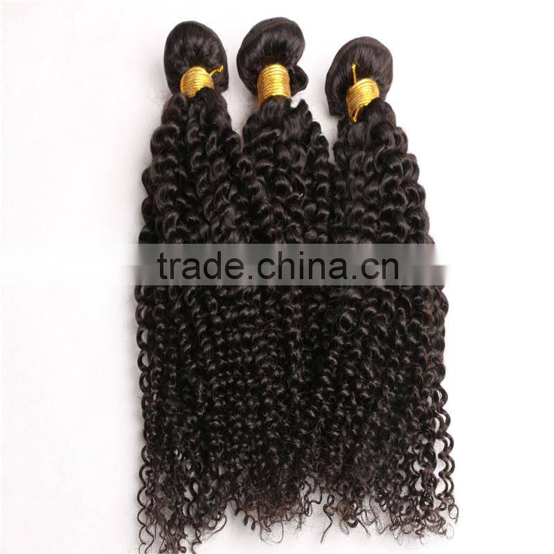 Grade 7A Malaysian Virgin Hair Water Wave 4pcs Lot Free Shipping Cheap Malaysian Curly hair 8"-30" Remy Human Hair Weave