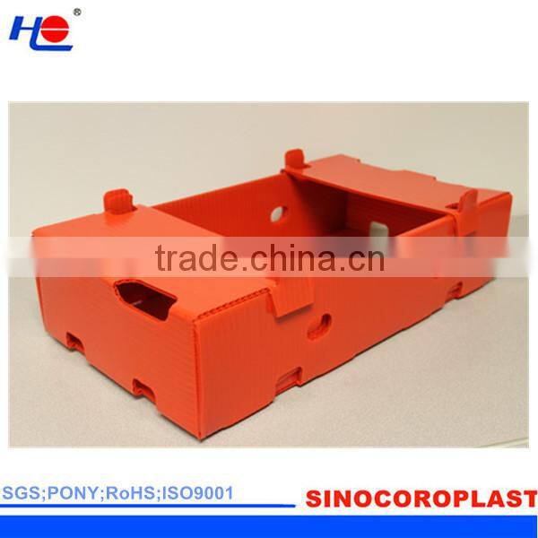Foldable Plastic Fruit Box