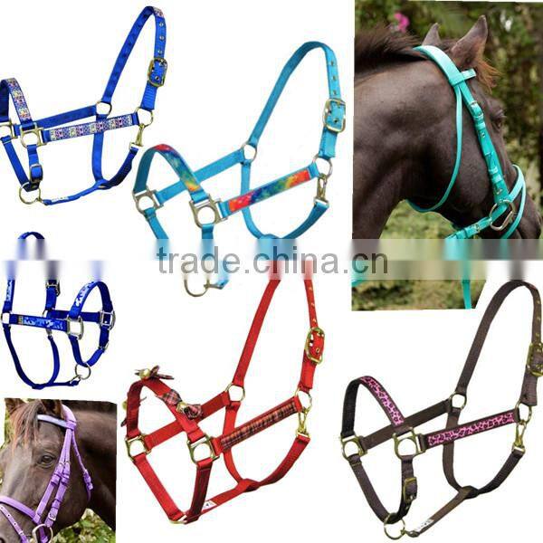 Custom Factory Horse pp halter