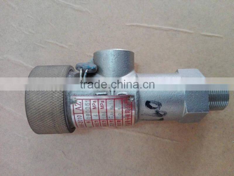 DN25 2.27MPa Safety Valve