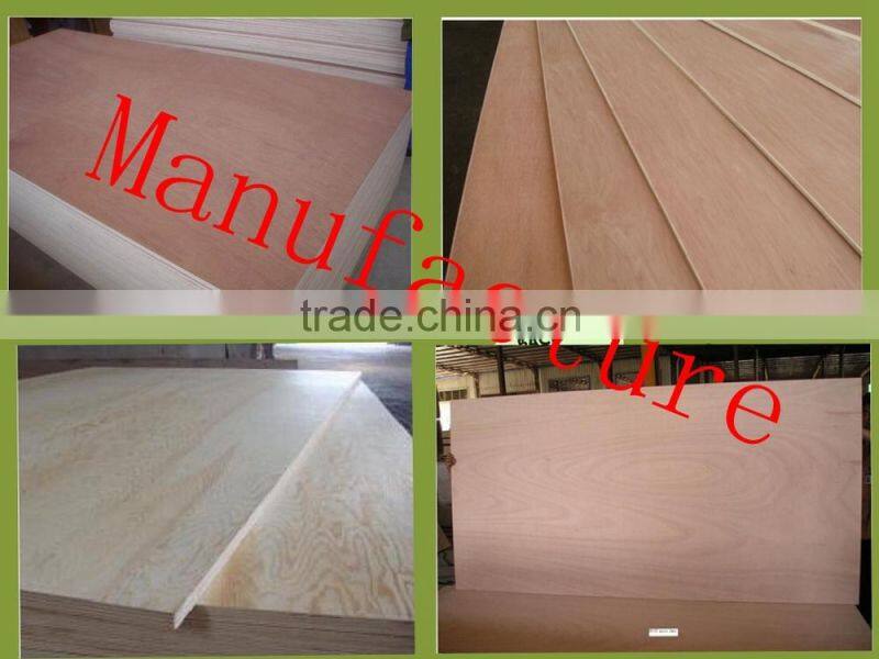 Shandong High Quality White Melamine Plywood with Low Price