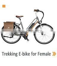 ONWAY Electric Bike Digital LED Display