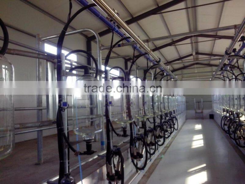 Herringbone type glass bottle metering milking parlor price