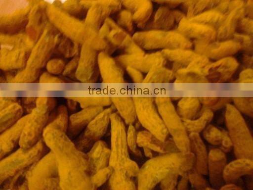 Turmeric Finger, Erode Turmeric Finger, Nizamabad Turmeric Finger