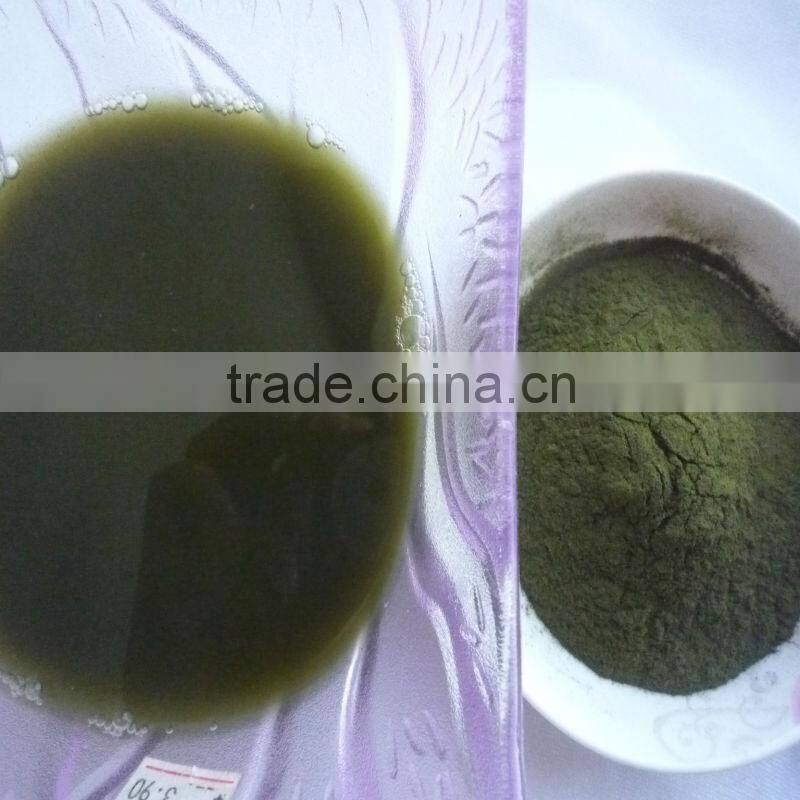 2015 Organic wheat grass extract powder