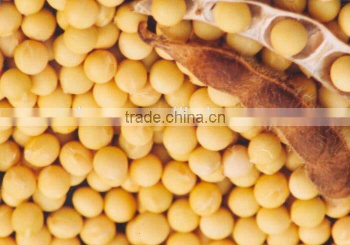 New Nootropic Phosphatidylserine CAS No.51446-62-9