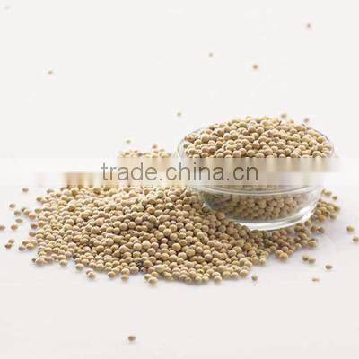 Factory price white Pepper