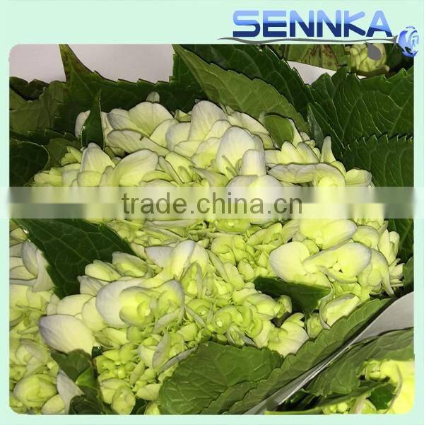 Wholesale China Merchandise artificial hydrangea fresh cut flower ball for decoration