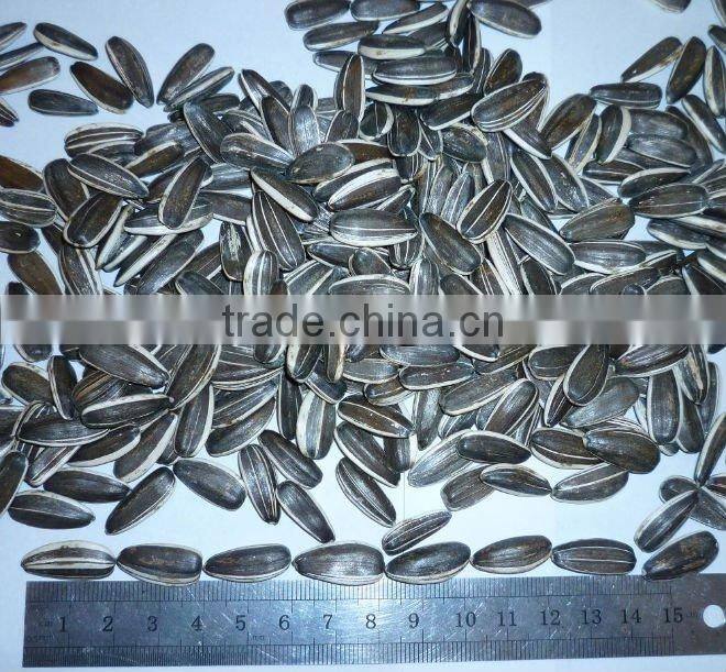 High Quality Chinese Sunflower Seeds 5009 new crop