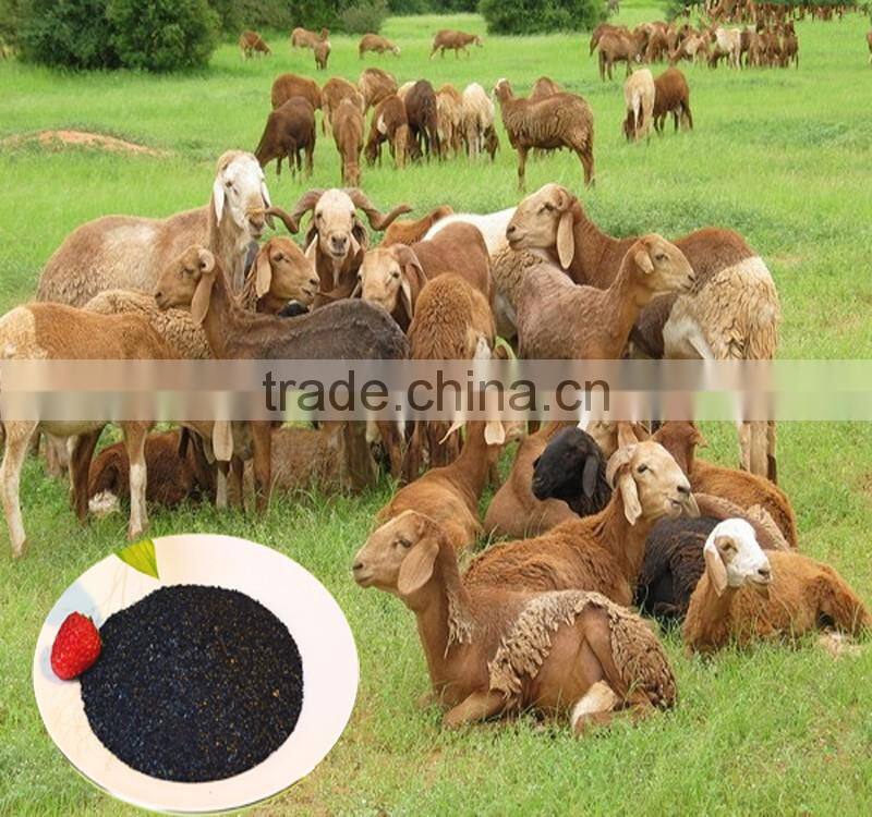 100% Purity Sodium Humate Food Grade Shiny Powder