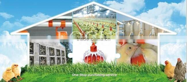 chicken cages poultry farm