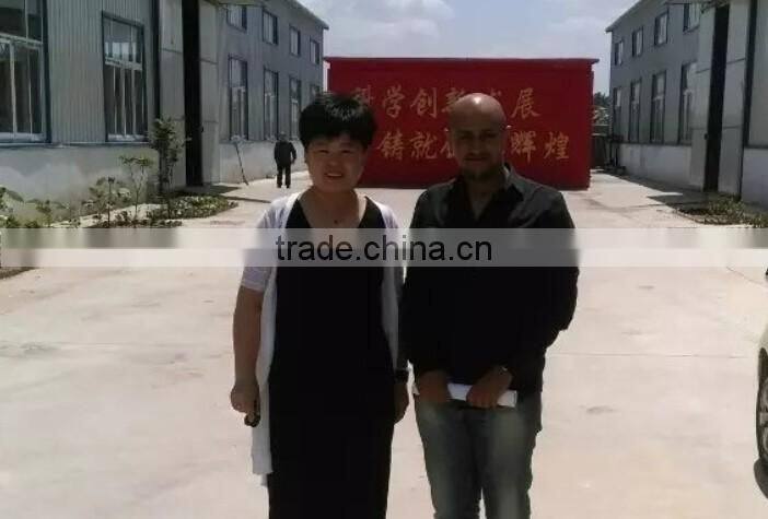 New designed Full automatic 48 egg incubator CE approved mini incubator prices india