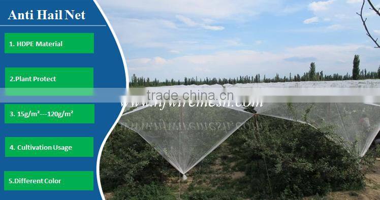 Hdpe net 25 x25 mm mesh hole agricultural bird netting (Guangzhou Factory)
