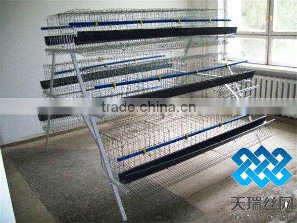 poultry cages TUV certicification hot dipped galvanized 20 years lifetime layer chicken cages with Auto water system