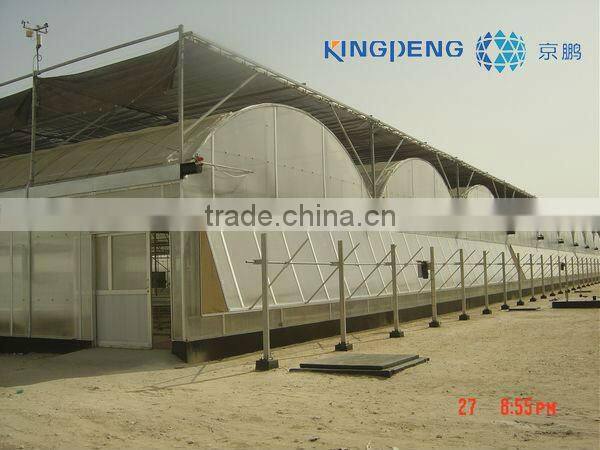Plastic Poly Film Greenhouse