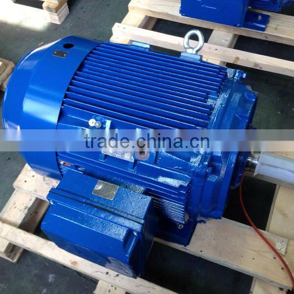 NEMA Standard Premium Efficiency Cast Iron Three Phase Electric Motor
