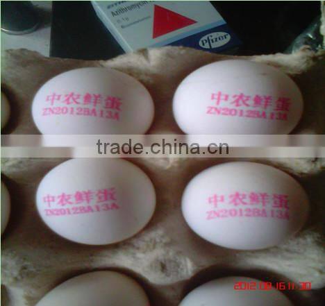 solvent inkjet printing machine