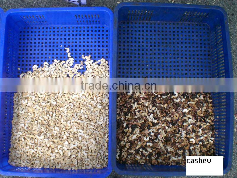 Belt Cashew Color Sorting Machine