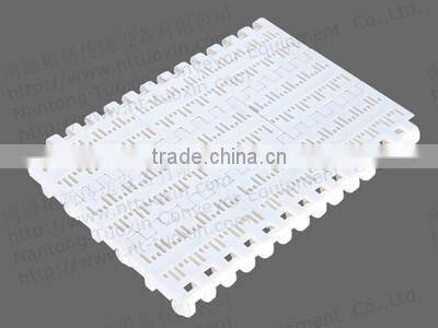 Injection Moulded Plastic Sprocket for 800 Plastic Belt